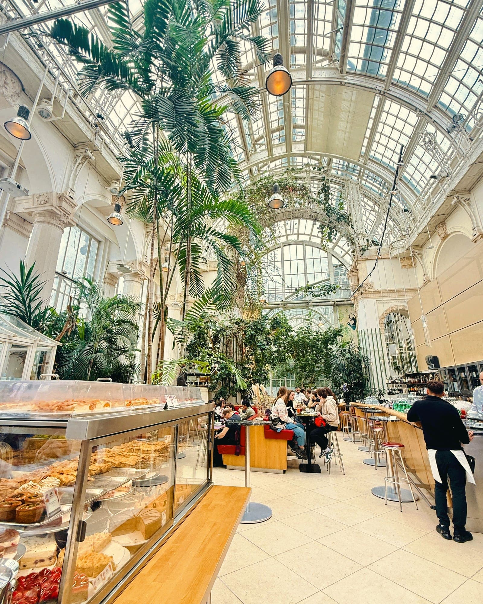 The Palmenhaus glass house in the Burggarten, full of palms and morning light